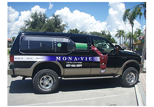 Window film for SUV wrap by Custom Graphics and Signs